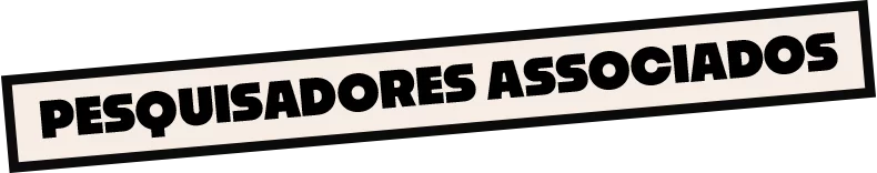 Pesquisadores associados